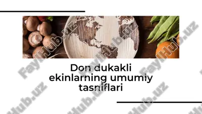 don dukakli ekinlarning umumiy tasniflari — PDF