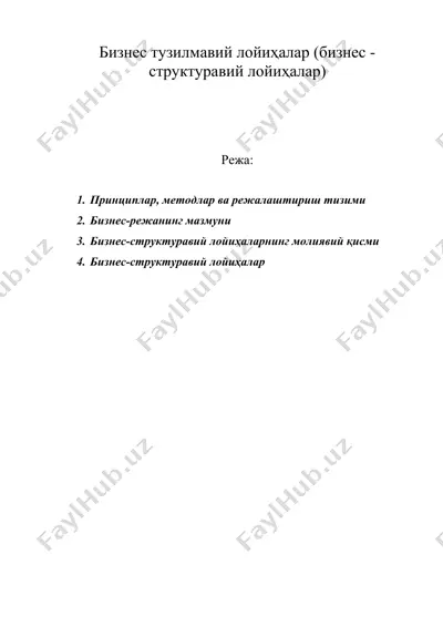 бизнес тузилмавий лойиҳалар (бизнес - структуравий лойиҳалар) — DOC