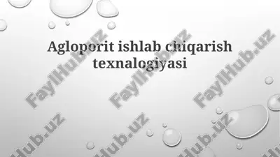 agloporit ishlab chiqarish texnalogiyasi — PPTX