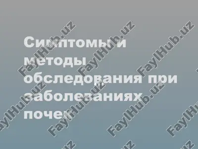 metodi obsledovaniya pri zabolevaniyax pochek — PPTX