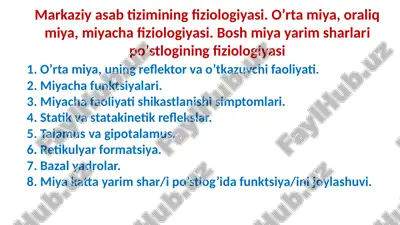 markaziy asab tizimining fiziologiyasi — PPTX
