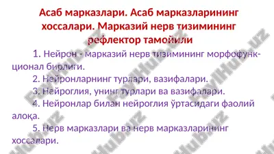 neyrogliya,uningturlarivavazifalari — PPTX