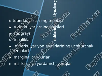 okklyuzion yuzasi morfologiyasi — PPTX