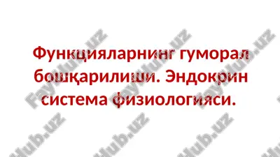 endokrin sistema fiziologiyasi — PPTX