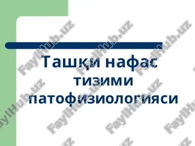 tashqi nafas tizimi patofiziologiyasi — PPT