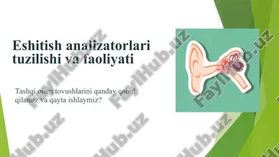 eshitish analizatorlari tuzilishi va faoliyati — PPTX