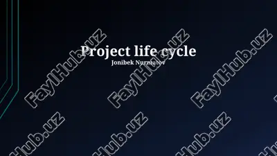 project life cycle — PPTX