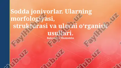 protozoalar: umumiy tavsif va ahamiyati — PPTX