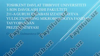 soddajonivorlar — PPTX