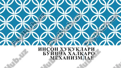 inson huquqlari bo'yicha xalqaro mexanizmlar — PPTX