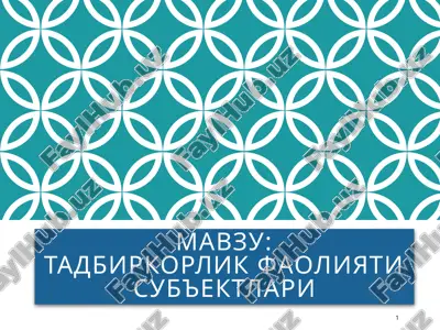 tadbirkorlik faoliyati sub'ektlari — PPTX