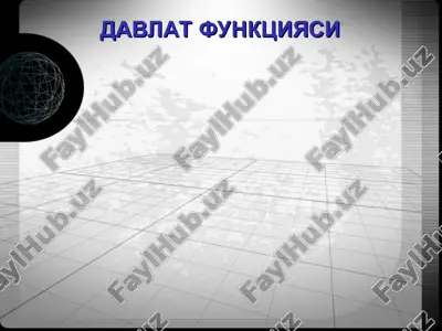davlat funktsiyasi — PPT