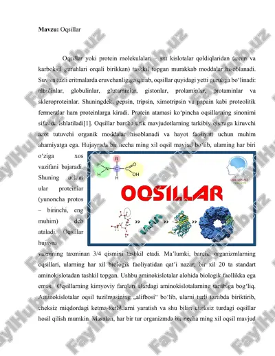 oqsillar — DOCX