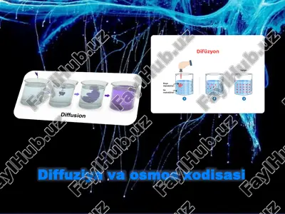 diffuziya va osmos xodisasi — PPTX