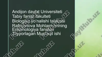 pardaqanotlilar(hymenoptera) — PPTX