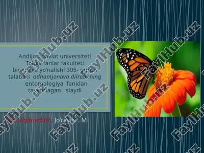 qizilkitob — PPTX
