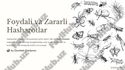 hasharotlar — PDF