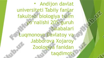 sutemizuvchilarni ichki tuzilishi — PPTX