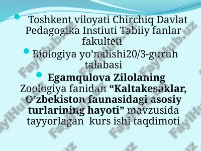 "kaltakesaklar, o'zbekiston fauna sidagi asosiy turlarining hayoti" kursi — PPTX