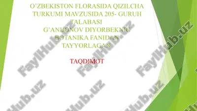 qizilcha turkumi — PPT