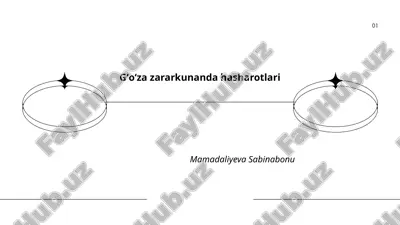 gʻoʻza zararkunanda hasharotlari — PPTX