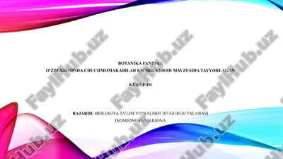 chuchmomakabilar ajdodi — PPTX