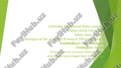 zoologiya fanidan tuxumqo’yuvchi sutemizuvchilarning hayoti mavzusi — PPTX