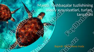 toshbaqalar tuzilishi — PPTX