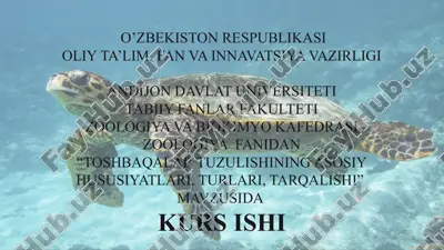 toshbaqalar tuzulishining asosiy hususiyatları, turlari, tarqalishi — PPTX
