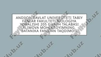 toʻqima — PPTX