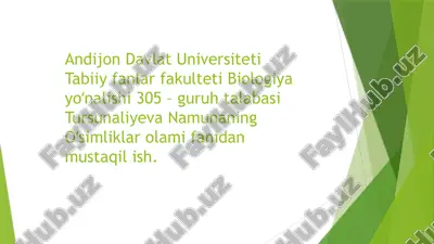 biologiyayoʻnalishi305 – guruh talabasitursunaliyevanamunaningoʻsimliklarolami — PPTX