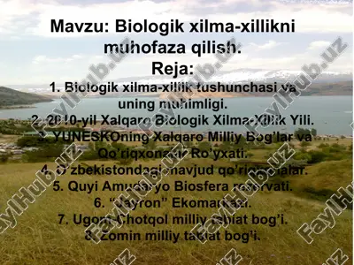 ekologiya muammolari va ularning hal qilish yo'llari — PPT