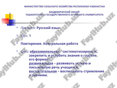 russkiy yazik — PPT