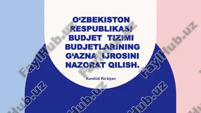 o‘zbekiston respublikasi budjet tizimi budjetlarining g‘aznai jarayonini nazorat qilish — PPTX