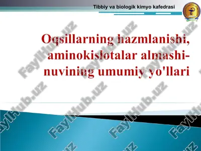 ogqsillarning hazmlanishi — PPT