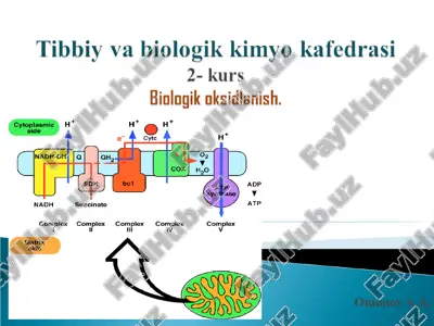 biologik oksidlanish — PPT
