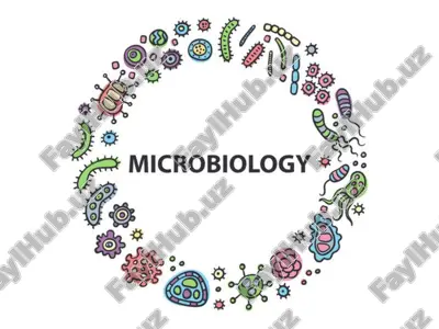 mikrobiologiya, virusologiya va immunologiya — PPT