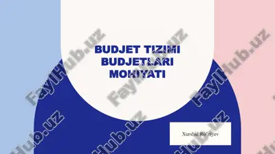 budjettizimi — PPTX