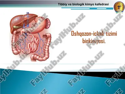 oshgozon-ichak tizimi biokimyasi — PPT