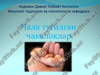 chala tugilgan chakaloklar — PPT