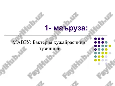 bakteriya hujayrasining tuzilishi — PPT