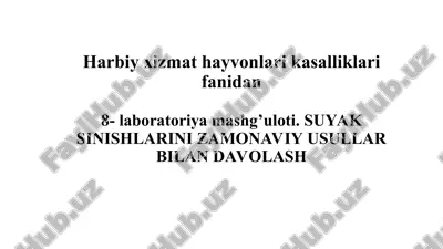 suyaklar anatomiyasi va fiziologiyasi — PPT
