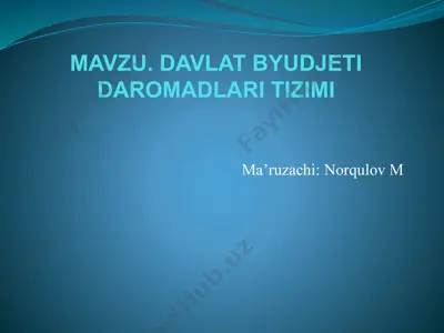 davlat byudjeti daromadlari tizimi — PPTX