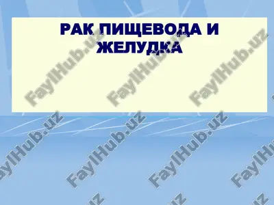 rak pishevoda i jeludka — PPT