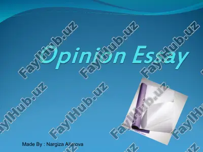 opinion essay — PPT