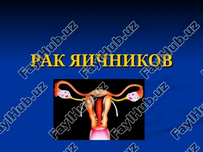 rak yaichnikov — PPT