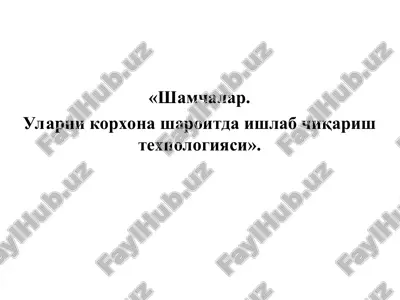 korxona sharoitida ishlab chikariladigan shamchalarni tasnifi va tavsifi — PPT