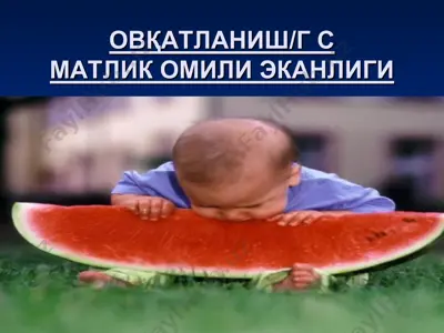 ovqatlanish/gsmatlikomiliekanligi — PPT