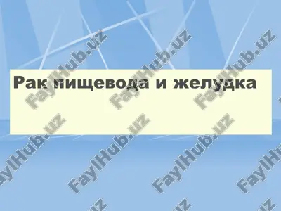 rak pishevoda i jeludka — PPT