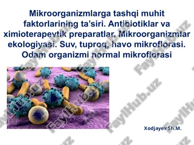 mikroorganizmlarga tashqimu hit faktorlarining ta’siri — PPTX